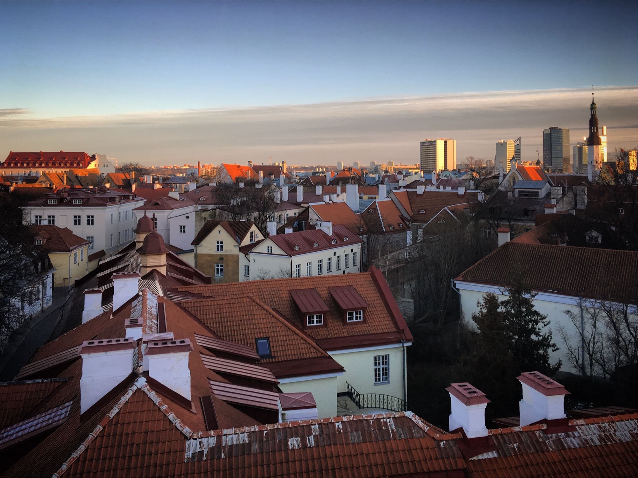 Aerial view of Tallinn's Old Town red rooftops with the modern skyline at sunset