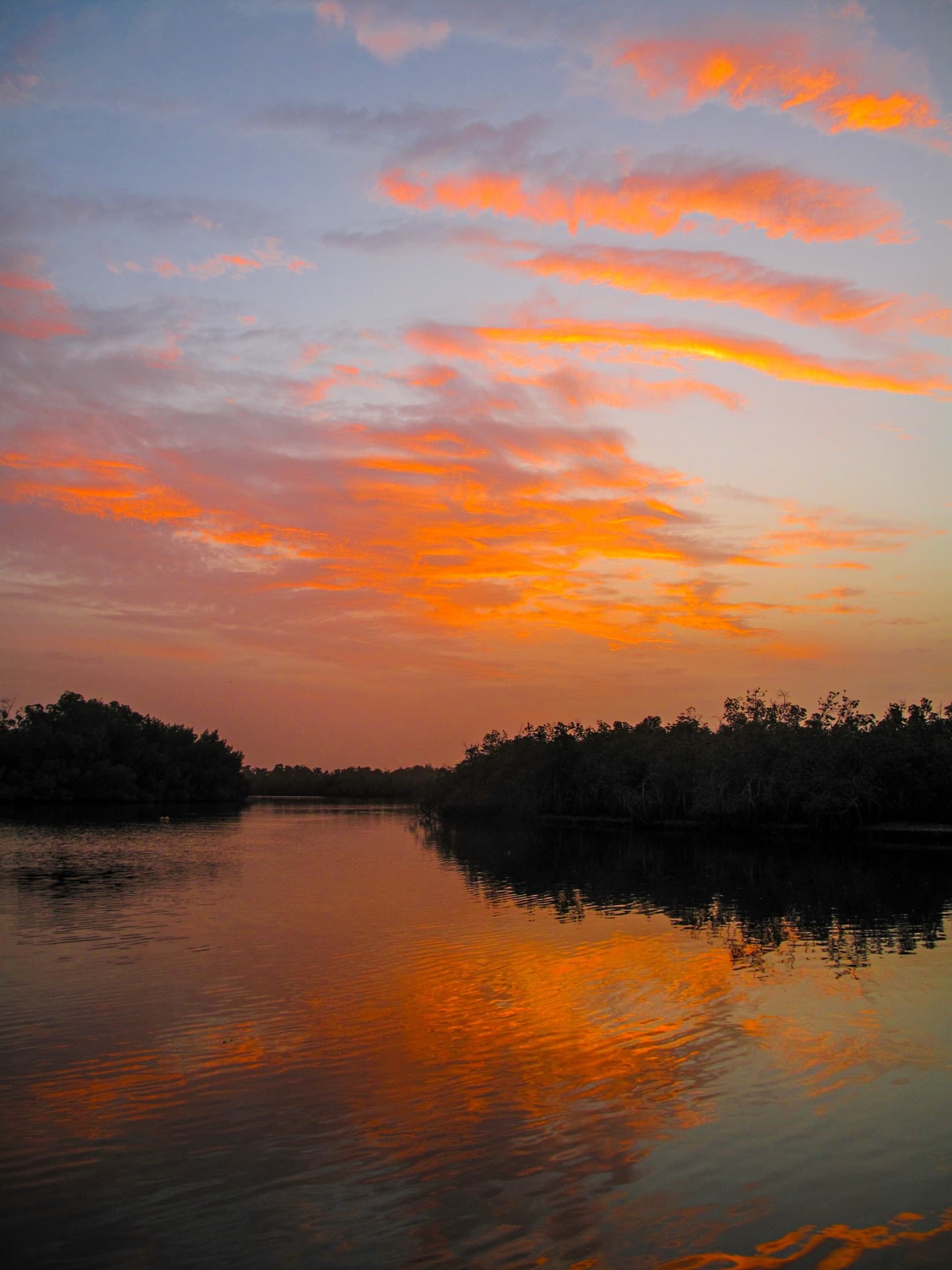 Dawn breaking over the mangrove creeks of Makasutu Culture Forest, The Gambia