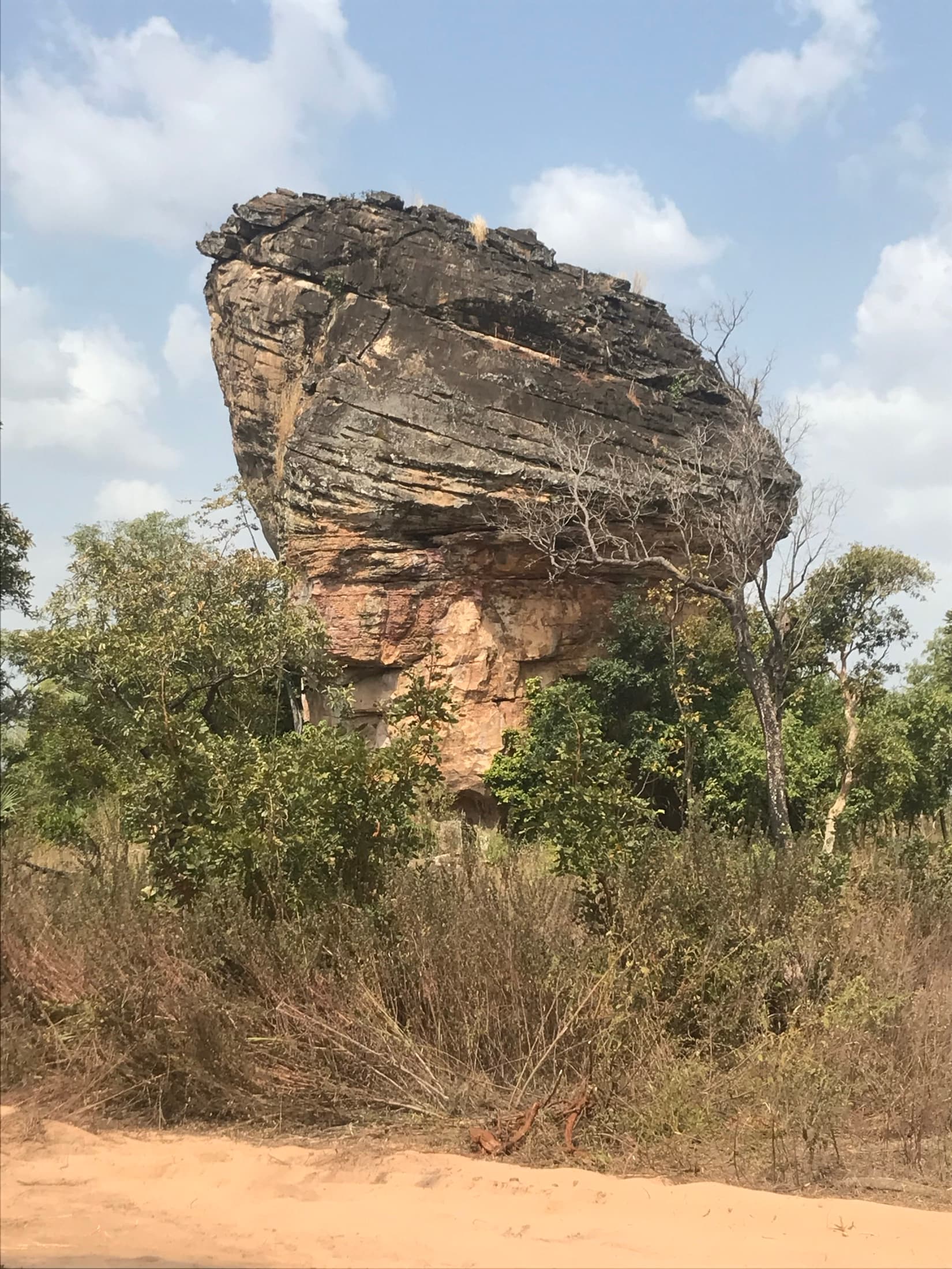 A dramatic rock outcrop rising from the Guinea savannah woodland of Mole National Park
