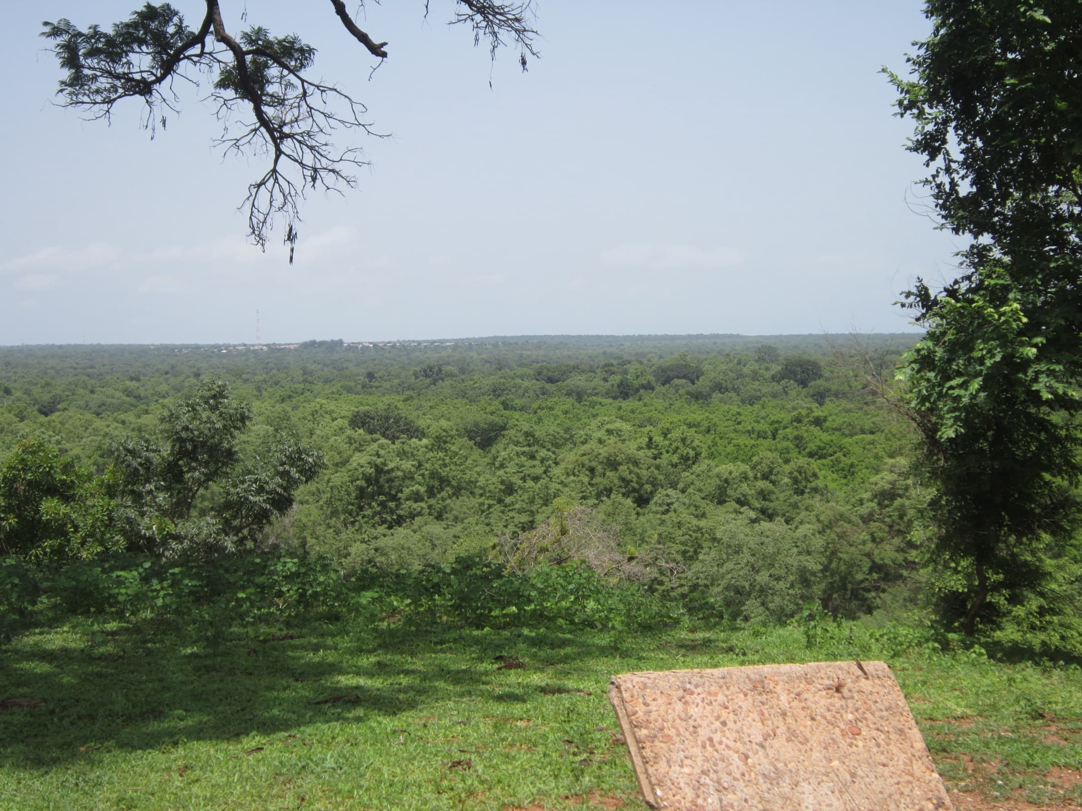 Wide savannah horizon across Mole National Park, Ghana's largest wildlife refuge