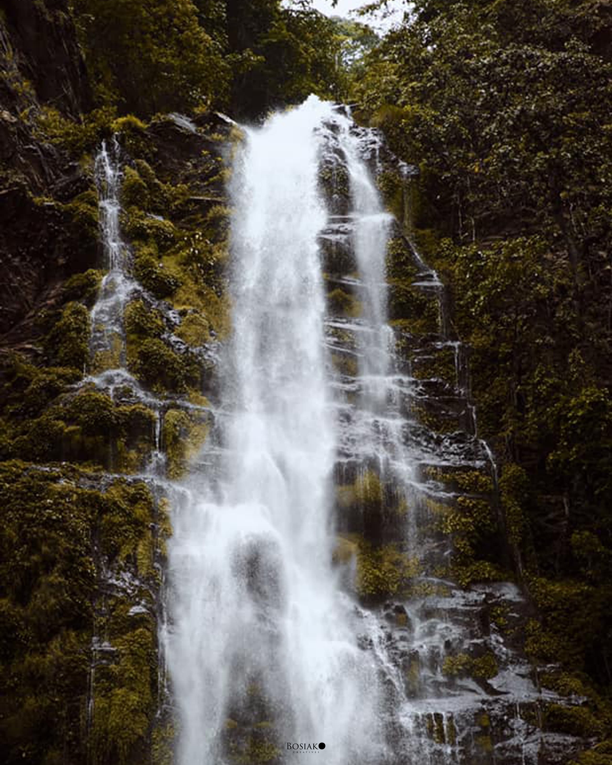 Wli Waterfalls cascading through lush rainforest in the Volta Region of Ghana