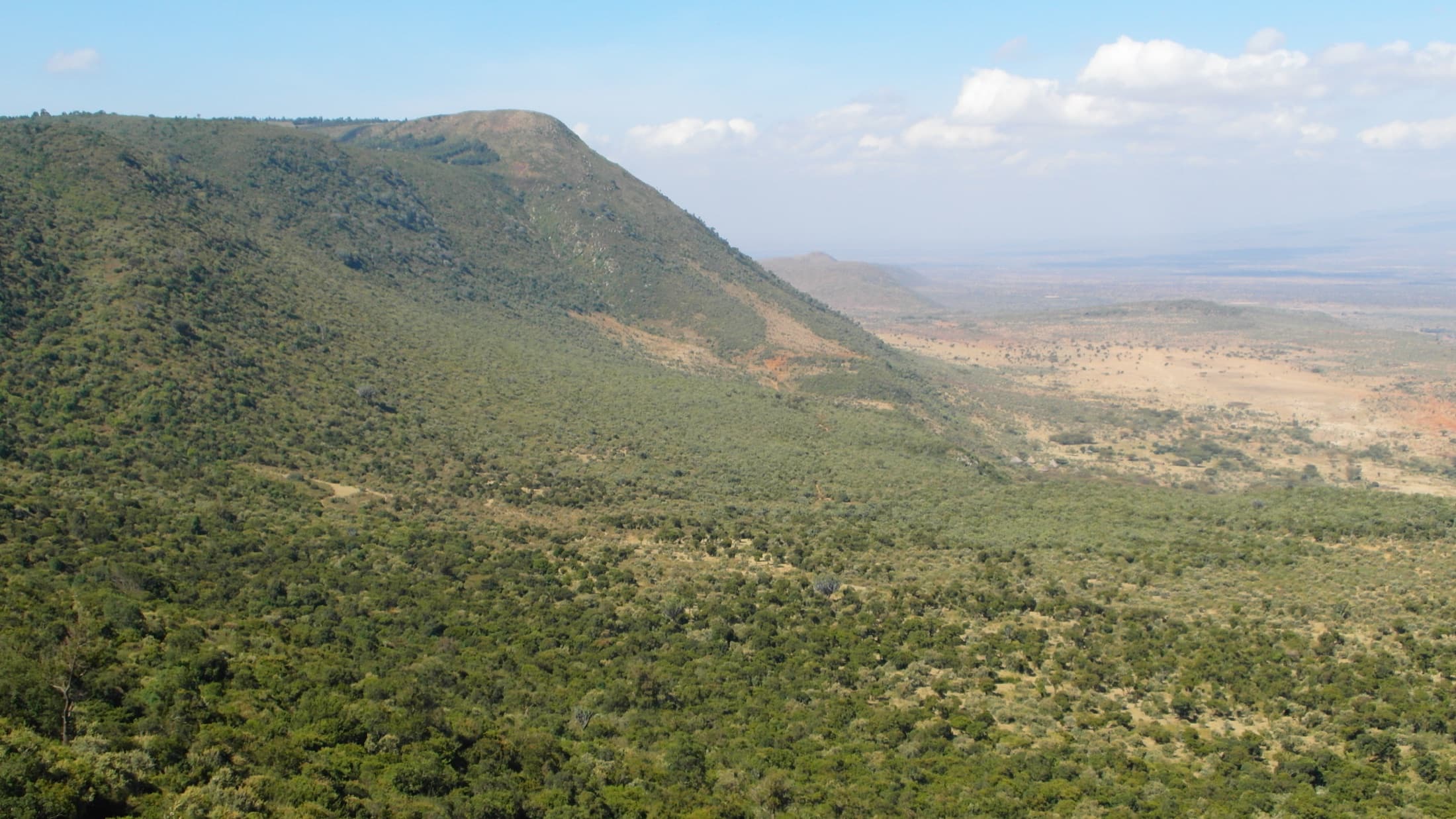 Panoramic view of Kenya's Great Rift Valley from a scenic viewpoint