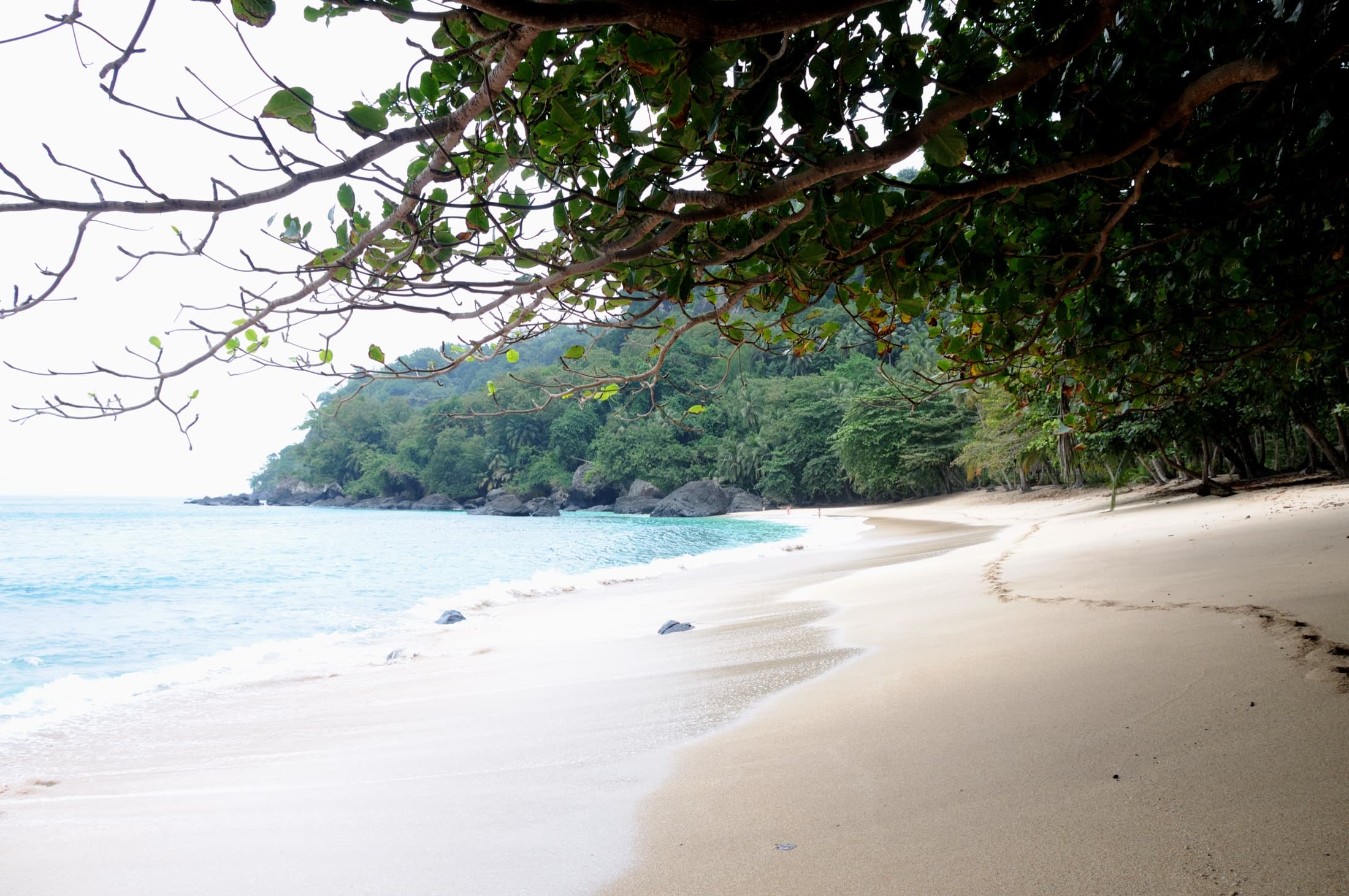 Praia Banana, a crescent-shaped beach framed by tropical vegetation on Príncipe island
