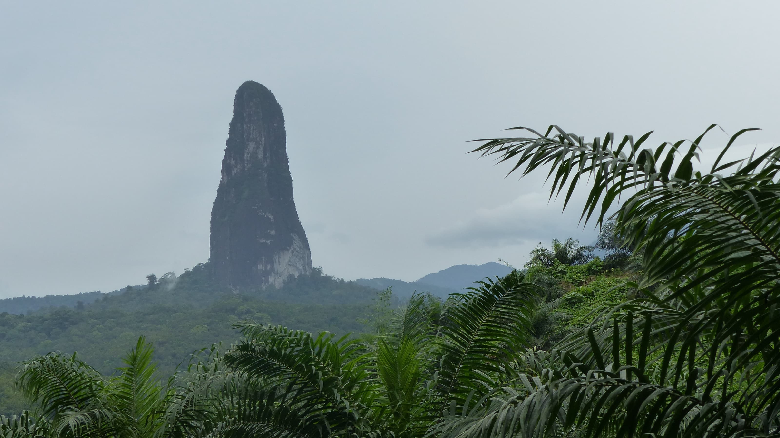 Pico Cão Grande, the needle-shaped volcanic spire rising above São Tomé's rainforest