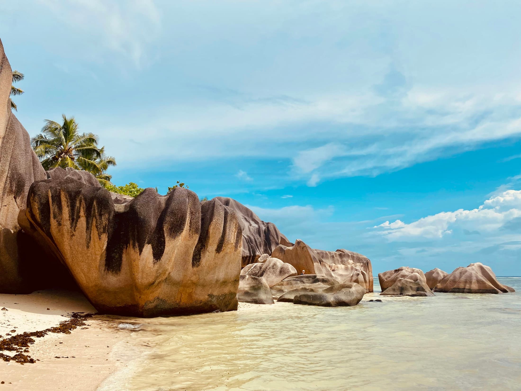 Sandy beach with granite rocks and palm trees on La Digue, Seychelles