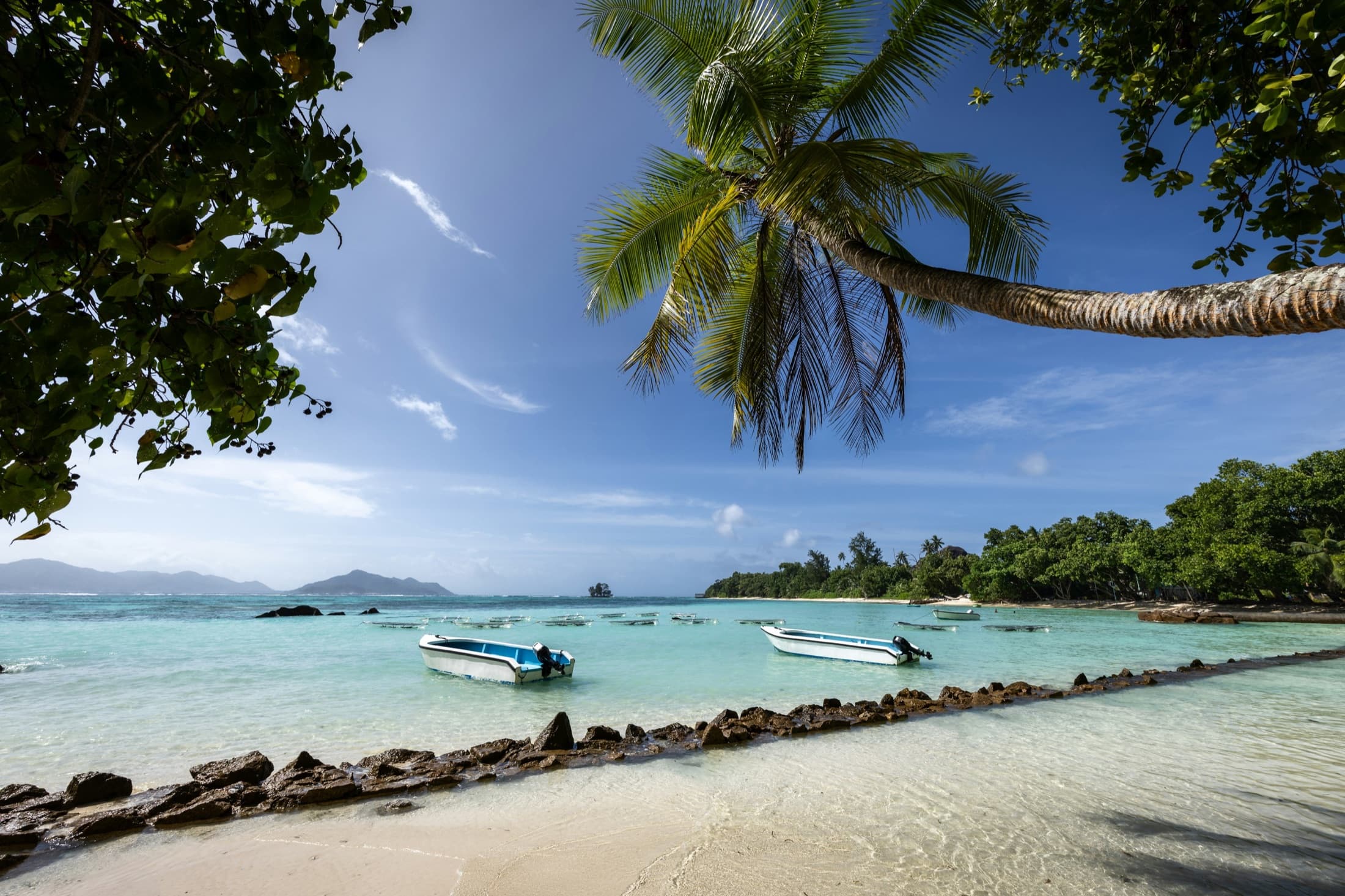 Traditional boats moored on a sandy beach with palm trees on La Digue, Seychelles