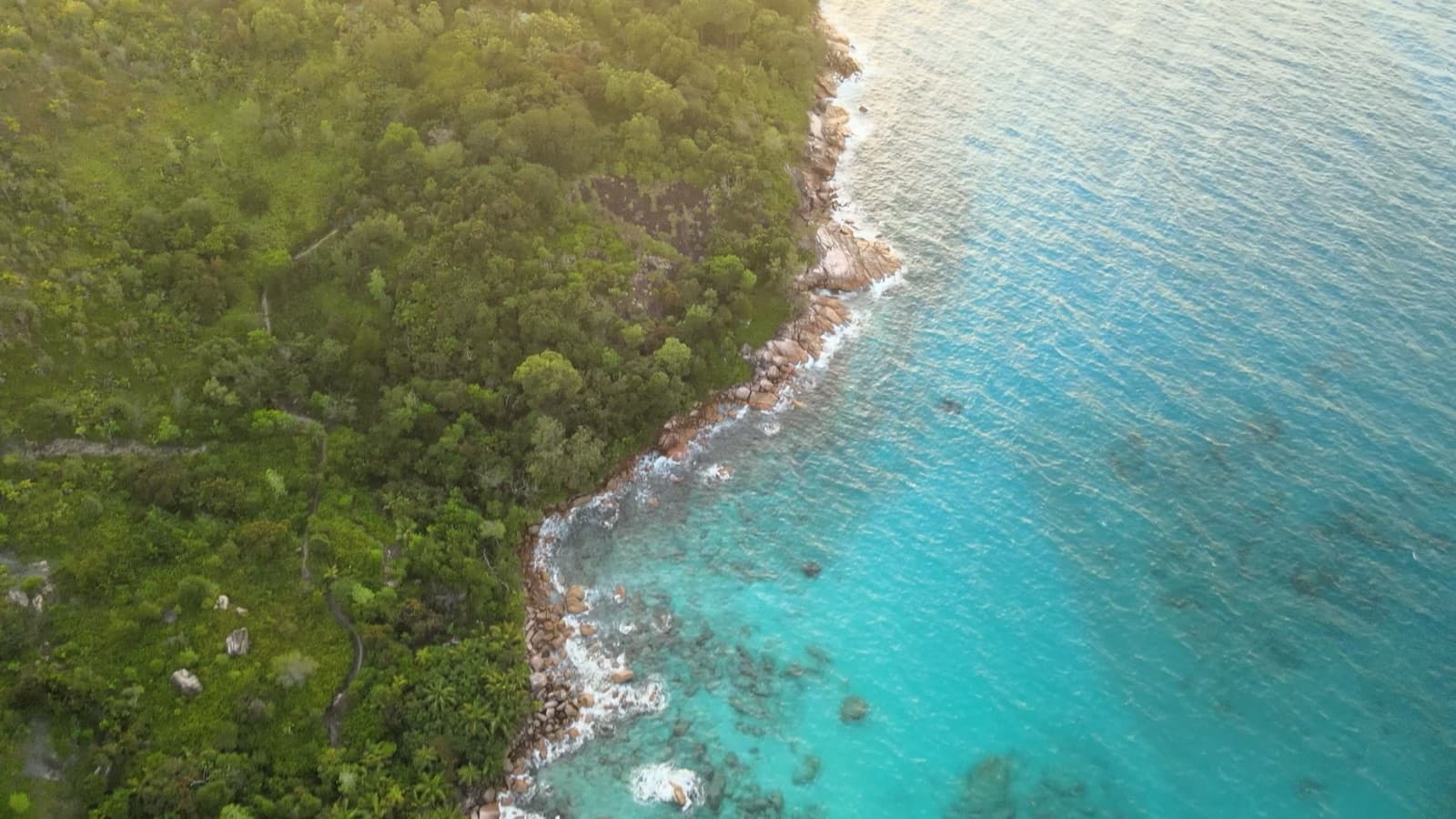 Ambient drone footage of lush green coastline and azure ocean at sunset, Seychelles