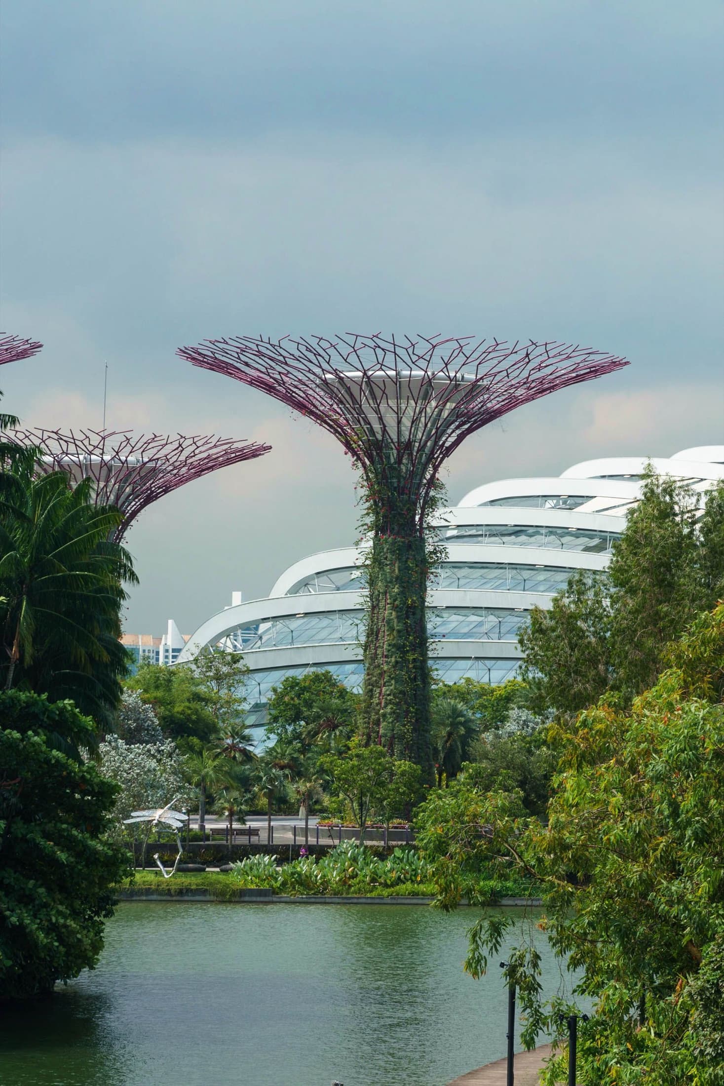 Futuristic Supertrees at Gardens by the Bay, Singapore
